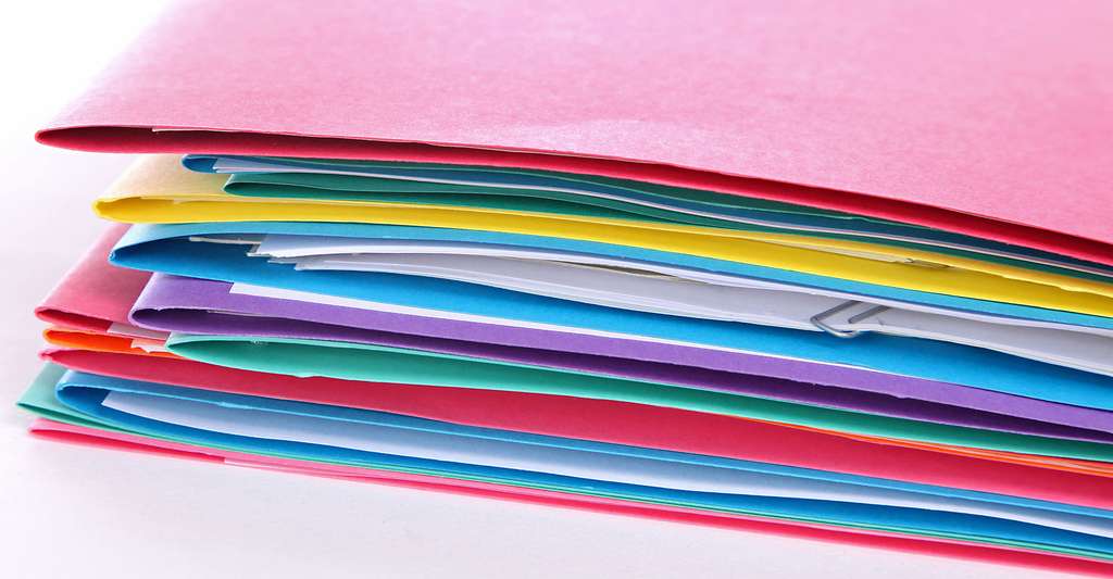 womand holding driving license